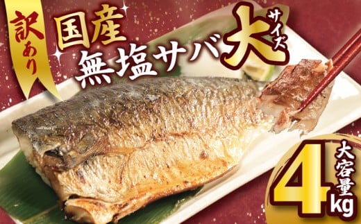 訳あり 国産 無塩さば フィーレ 4kg 大サイズ 1枚170g さば 鯖 魚 海鮮 魚介類 シーフード フィレ 切身 切り身 無塩 不揃い 規格外 傷 冷凍 食品 小分け おかず 惣菜 おつまみ 弁当 人気 グルメ