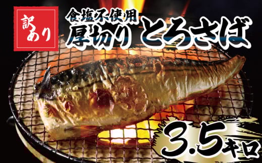 訳あり 食塩不使用 厚切り とろさば フィーレ 約3.5kg 【12月以降配送】 塩サバ 塩さば 塩鯖 サバ さば 鯖 訳あり 訳アリ 訳有 切身 切り身 フィーレ 冷凍 ふるさと納税 ふるさと納税鯖 11000円 1