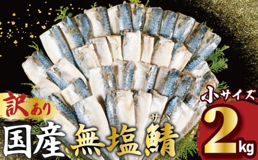 訳あり 国産 無塩さば 約2kg 小サイズ フィーレ 鯖 さば 冷凍 切身 フィレ 無塩 無塩鯖 さばフィーレ 鯖フィーレ さばフィレ 鯖フィレ 切り身 切身 無添加 添加物不使用 個別冷凍 お弁当 惣菜