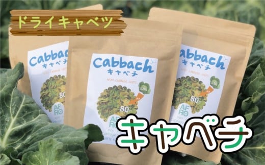 【先行予約】 ドライキャベツ キャベチ 3袋(2026年1月〜配送) キャベツ アフロキャベツ 訳あり おつまみ お菓子 おやつ 野菜 銚子産 千葉県産 春キャベツ 生産量 1位 旬の野菜 旬の味覚 甘