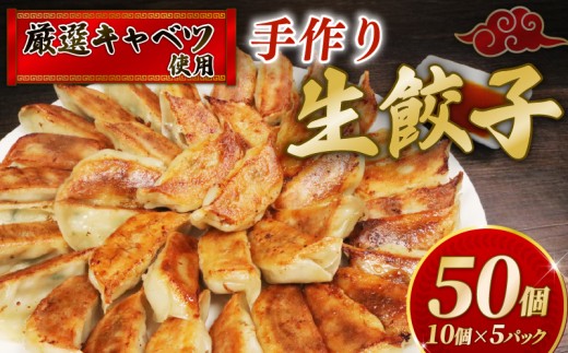 餃子 50個 ぎょうざ 10個 × 5パック 手作り 手造り 大容量 国産 豚肉 肉 お肉 国産キャベツ 国産豚 安全 安心 美味しい 肉餃子 野菜餃子 焼き餃子 ギョーザ 生餃子 水餃子 おかず 冷凍餃子 小分