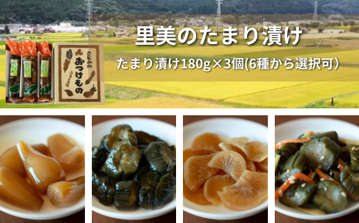 【漬物 種類指定可】地場産の野菜使用 里美のたまり漬け(180g×3個/ 胡瓜たまり 辛入り胡瓜たまり 福里漬 大根たまり 楽京たまり ごまちゃん) | 茨城県 常陸太田市 お漬物 漬け物 つけもの