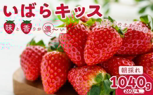【2026年 先行予約】いちご いばらキッス 約260g×4パック | 苺 イチゴ いちご 檜山いちご園 新鮮いちご  大粒 いちご いばらキッス ひたち姫 やよいひめ フルーツ 旬 産地 直送 フレッシュ 新鮮