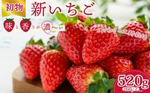 【先行予約/2026年】初物 厳選いちご(2パック×1箱) 《2025年12月での発送》| いちご 苺 イチゴ 檜山いちご園 香り 大粒  いばらキッス ひたち姫 やよいひめ 厳選 フルーツ 朝採れ 糖度 酸味 バラ