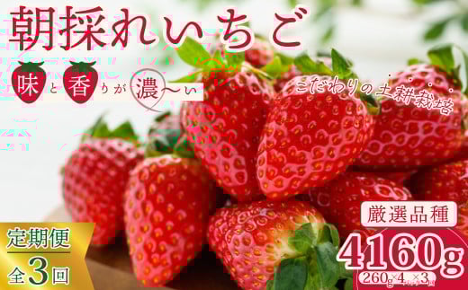 y2026N s\zyցzI 4pbN×3񔭑  |  3  C`S 嗱  2 3 4 ΂LbX ЂP 悢Ђ t[c 錧Y VN ̂