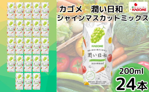 JS a VC}XJbg~bNX 200ml×24{ | 錧 헤cs W[X  ؃W[X VC}XJbg ʏ`  1H 14 t[eB r^~C ґ  v[