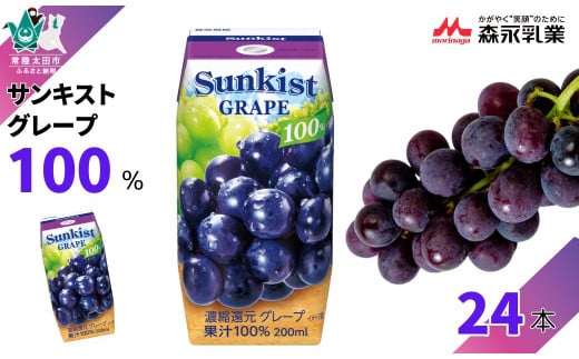 yTLXgʏ`100W[XzO[v 200mL×24{ | 錧 헤cs W[X t[c ݕ O[v Ԃǂ ԂԂǂ Ԃǂ ʏ`100 Z   ₩ Â 