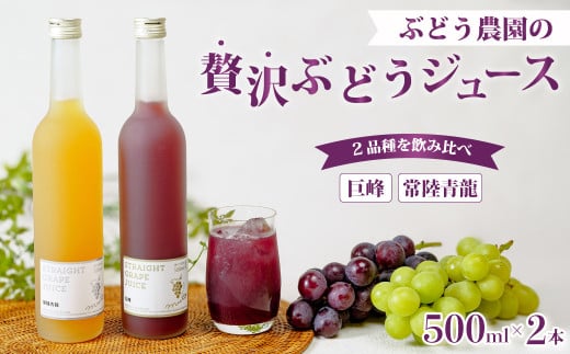 母の日 まるではちみつ? ぶどうジュース2本(巨峰・常陸青龍)| ジュース ぶどう 葡萄 ブドウ 100%ジュース フルーツ 果汁100% 高級ジュース 贈答用 ギフト 贈り物 高級 希少品種 オリジナル品