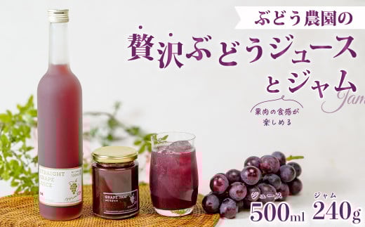 ԂǂW[Xij1{{WZbg | W[X Ԃǂ  uhE 100%W[X uhEW[X t[c ԂǂW uhEW W ʏ`100% W[X ʓ p M