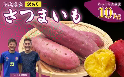 【先行予約】【訳あり】さつまいも 10kg|いも スイーツ 野菜 ダイエット 小分け 国産 茨城県産 さつまいも サツマイモ お芋 おやつ 干し芋 焼き芋 紅はるか シルクスイート ねっとり 甘い