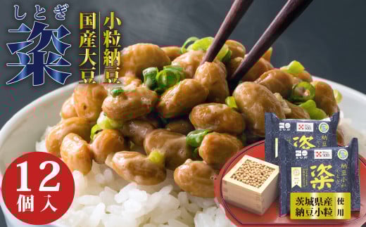 yʏցz  Ƃ [ 6 12pbNb[ ȂƂ Y哤  ܂ Yi I[KjbN [ [ ō[ ˂΂˂ ˂  y ݖ kC 哤