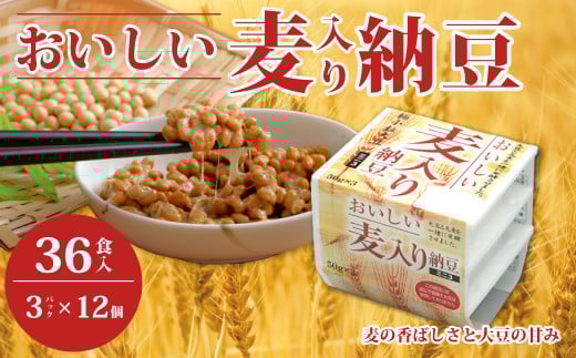 ご当地納豆 おいしい麦入り納豆 3P×12袋 計36食分入 |納豆 なっとう ナットウ 国産大豆 家庭用 うまい 本物 麦 甘み 風味 特産品 美味しい納豆 家庭納豆 常食納豆 ねばねば 発酵 醤油 北海道
