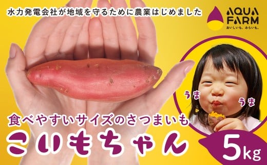܂ uׂɂ͂邩v  5kg | Â Ă  g͂邩 XC[c  H̖o Mtg x Řb ₫ Y qǂ Yn 錧 헤cs錧