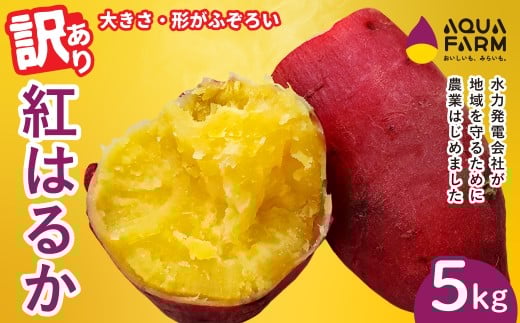【訳あり】さつまいも 「べにはるか」 5kg | 甘い 焼き芋 お取り寄せ 紅はるか スイーツ 訳アリ おやつ 秋の味覚 ギフト 糖度 自然の恵み やきいも 国産 子ども 産地直送 茨城県 常陸太田市茨