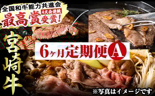 <先行予約受付中!2026年2月から発送開始予定>【定期便・全6回(連続)】宮崎牛定期便<Aセット>お楽しみ便 牛肉 国産 定期 ヒレ肉 モモ ウデ ロース バラ スライス 宮崎県産 黒毛和牛 焼肉