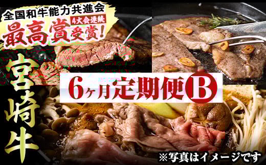 <先行予約受付中!2026年2月から発送開始予定>【定期便・全6回(連続)】宮崎牛定期便<Bセット>お楽しみ 牛肉 国産 定期 ヒレ肉 ひれにく モモ ウデ ロース バラ スライス 宮崎県産 黒毛和