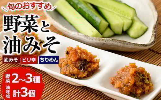 野菜と油みそのセット(旬の野菜2〜3種×油みそ3種(ちりめん・油みそ・ピリ辛)各1個)野菜 調味料 味噌 おつまみ トッピング 冷蔵【G-7】【旬鮮かどがわ直売センター】宮崎県門川町6000野菜・
