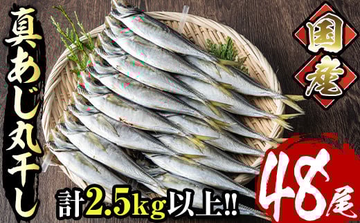 Y^ۊ(v48E16×3Fv2.5kgȏ)  Zbg   ȒP  ⓀyE-21zyiYz{茧쒬12000ECY