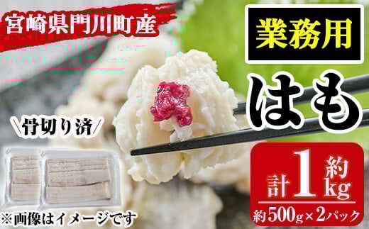 <訳あり・業務用>加熱用はも(計約1kg・約500g×2パック)魚介 国産 ハモ 鱧 湯引き 天ぷら しゃぶしゃぶ 骨切り済 宮崎県 門川町【MR-2】【株式会社マルユウ水産】宮崎県門川町12000魚介・海産