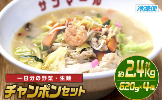 チャンポンセット(計約2.4kg・620g×4個)ちゃんぽん 麺 スープ 野菜 具沢山 冷凍 国産 小分け おかず 惣菜 簡単調理【TG-3】【サンクスギビング】宮崎県門川町12000鍋セット・総菜・加工食品その