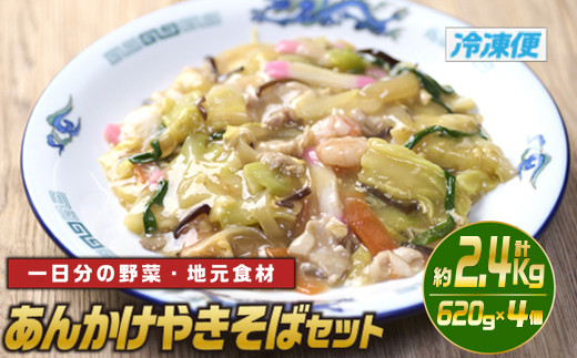 あんかけやきそばセット(計約2.4kg・620g×4個)麺 焼きそば 野菜 冷凍 小分け 国産 おかず 惣菜 簡単調理【TG-4】【サンクスギビング】宮崎県門川町12000鍋セット・総菜・加工食品その他 鍋セッ