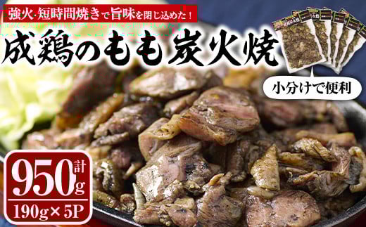 Y{̂YΏ(v950gE190g×5P)n{ { {  ܂  ȒP Ⓚ@yMS-1zy}GXz{茧쒬14000{