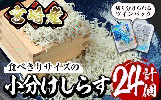 小分けしらすツインパック12個セット(計約600g・25g×2パック×12個)魚 小魚 魚介類 シラス おつまみ カルシウム 個包装 釜揚げ しらす丼 冷凍 子供 海鮮丼 お茶漬け 海鮮 宮崎県 門川町【E-22】
