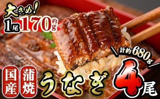 国産 うなぎ 蒲焼 (約170g×4尾) 鰻 タレ かば焼き うな重 うな丼 ひつまぶし 小分け 真空包装 真空パック 【AW-18】【丸正水産】宮崎県門川町34000魚介・海産物うなぎ