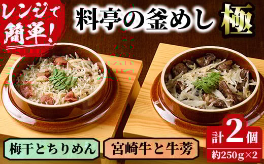 料亭の釜めし・極<宮崎牛と牛蒡><梅干しとちりめん>(2種各1個)釜飯 惣菜 時短 お取り寄せ グルメ 詰め合わせ セット 冷凍【TW-3】【魚甚閣 常若】宮崎県門川町15000鍋セット・総菜・加工