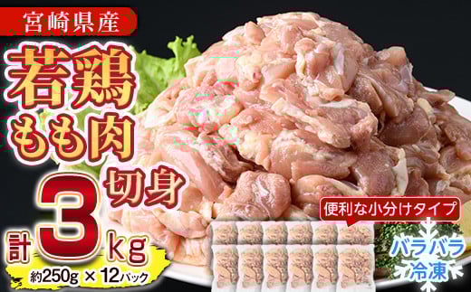 s\tI2025N11ɔ\聄{   ʓ(v3kgE250g×12P)  Ƃ ؐg Jbg ʓ IQFJbg Y {茧Y g g 炠 Ⓚ 