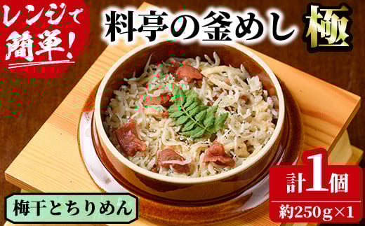 料亭の釜めし・極<梅干しとちりめん>(約250g×1)釜飯 料亭 惣菜 時短 お取り寄せ グルメ 冷凍 レンジアップ【TW-7】【魚甚閣 常若】宮崎県門川町8000鍋セット・総菜・加工食品総菜