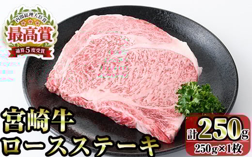 宮崎牛ロースステーキ(250g) お肉 牛肉 黒毛和牛 ブランド和牛 冷凍 国産 焼肉 BBQ 【R-88】【ミヤチク】宮崎県門川町15000肉牛肉