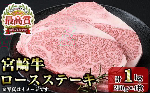 {苍[XXe[L(v1kgE250g×4)   јa uha Ⓚ Y ē BBQ yR-89zy~`Nz{茧쒬42000