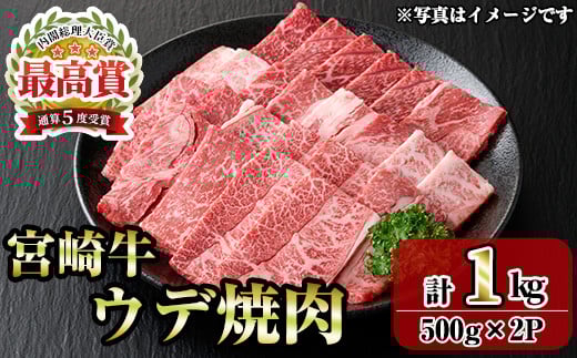 {苍Efē(1kgE500g×2P)   јa uha Ⓚ Y ē BBQ Ef yR-96zy~`Nz{茧쒬22000
