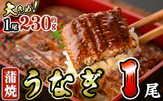 うなぎ 蒲焼 (約230g×1尾・山椒、タレ付き) 鰻 さんしょう 冷凍 かば焼き うな重 うな丼 ひつまぶし 小分け 土用 丑の日 中国産【AW-60】【丸正水産】宮崎県門川町8000魚介・海産物うなぎ