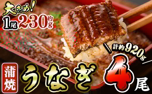 うなぎ 蒲焼 (計約920g・約230g×4尾・山椒、タレ付き) 鰻 さんしょう 冷凍 かば焼き うな重 うな丼 ひつまぶし 小分け 土用 丑の日 中国産【AW-63】【丸正水産】宮崎県門川町27000魚介・海産物う