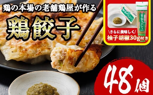 鶏の本場の老舗鶏屋が作る味鶏の餃子セット (計48個・1Pあたり12個入・柚子胡椒30g付き!) 鶏餃子 餃子 鶏肉 ぎょうざ おかず お惣菜 おつまみ 冷凍【V-70】【味鶏フーズ】宮崎県門川町10000鍋