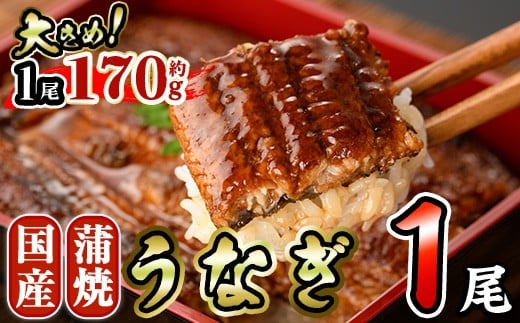 国産 うなぎ 蒲焼 (約170g×1尾) 鰻 タレ かば焼き うな重 うな丼 ひつまぶし 小分け 真空包装 真空パック 【AW-89】【丸正水産】宮崎県門川町10000魚介・海産物うなぎ