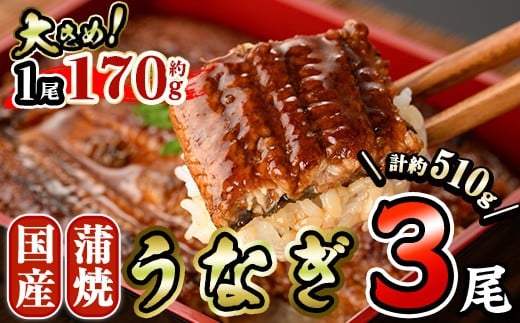国産 うなぎ 蒲焼 (約170g×3尾) 鰻 タレ かば焼き うな重 うな丼 ひつまぶし 小分け 真空包装 真空パック 【AW-90】【丸正水産】宮崎県門川町25000魚介・海産物うなぎ