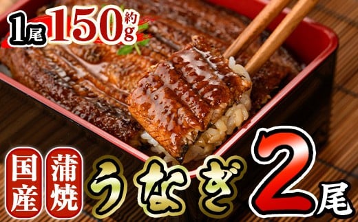 国産 うなぎ 蒲焼 (約150g×2尾) 鰻 タレ かば焼き うな重 うな丼 ひつまぶし 小分け 真空包装 真空パック 【AW-92】【丸正水産】宮崎県門川町11000魚介・海産物うなぎ