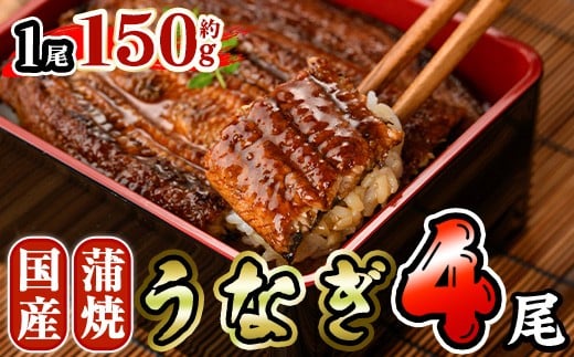 国産 うなぎ 蒲焼 (約150g×4尾) 鰻 タレ かば焼き うな重 うな丼 ひつまぶし 小分け 真空包装 真空パック 【AW-94】【丸正水産】宮崎県門川町22000魚介・海産物うなぎ