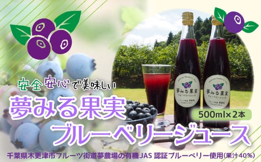 KAA001 <有機栽培ブルーベリー使用>夢みる果実ブルーベリージュース(果汁40%)500ml×2本 ふるさと納税 ブルーベリー ブルーベリージュース アントシアニン 千葉県 木更津市 千葉県木更津