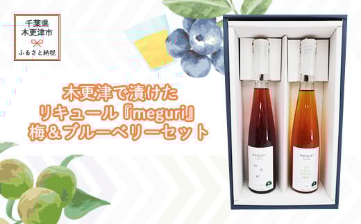 KAM006 木更津で漬けたリキュール『meguri』梅&ブルーベリーセット ふるさと納税 リキュール アルコール スピリッツ 千葉県 木更津 千葉県木更津市8000酒・アルコールウイスキー・洋酒・リキ