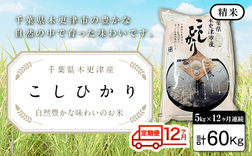 KW006 <12ヶ月定期便>千葉県木更津産 精米こしひかり5kg×12ヶ月連続 計60kg千葉県木更津市90000米・パン白米