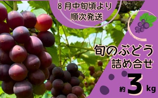 Y3@Ԃǂ  l@ 3s@y uhE  lߍ킹 Zbg    sI[l VC}XJbg Mtg p zɌs30000ʕEt[c}XJbgEԂǂ