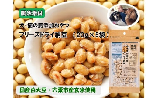 O22 腸活素材 犬・猫の無添加おやつ フリーズドライ納豆 【 いぬ イヌ 犬 ねこ ネコ 猫 おやつ 腸活 安全 安心 健康 無添加 フリーズ ドライ グルテンフリー たんぱく質 大豆 】兵庫県宍