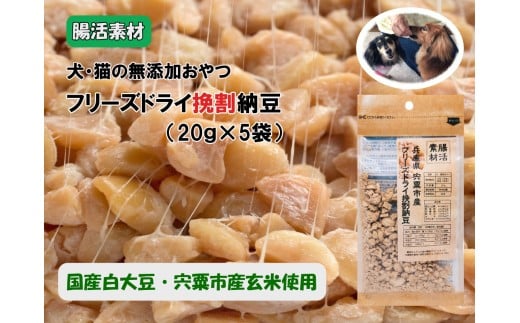 O23 腸活素材 犬・猫の無添加おやつ フリーズドライ 挽割納豆 【 いぬ イヌ 犬 ねこ ネコ 猫 おやつ 腸活 安全 安心 健康 無添加 フリーズ ドライ グルテンフリー たんぱく質 大豆 納豆 】