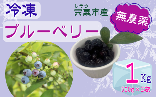 K11@ g Ⓚ h u[x[@1kgi500×2jy _ Ⓚ t[Y ACX u[x[ ʕ t[c Yn Y e zɌs10000ʕEt[c̑ ʕE