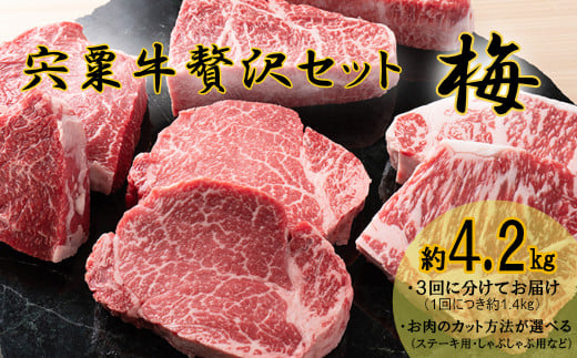 F10 宍粟牛贅沢セット【梅:4.2Kg】 宍粟牛 は 但馬牛 の 血統を受け継いだ 黒毛和牛  ステーキ もも 焼肉 すき焼き スライス しゃぶしゃぶ 生肉 精肉 ブランド牛 国産牛 贈り物 セット 大