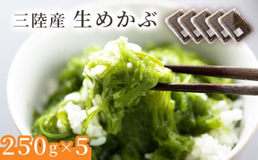 fc-39-012 OY߂ԁy2{S͂ցz }LC`X茧Ύs14500ECŶEC